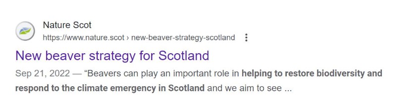 HTML Meta 标签配置截图